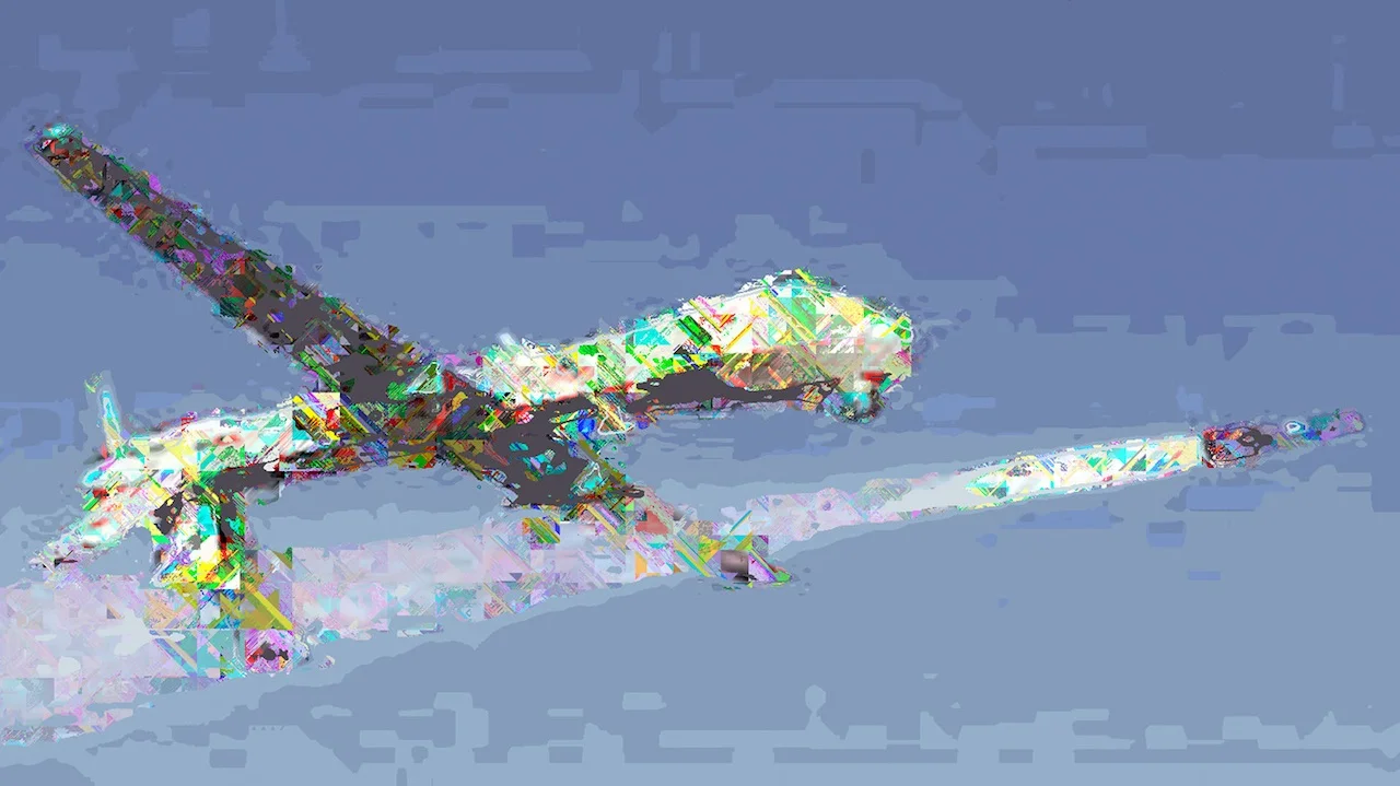 predator_001.jpg